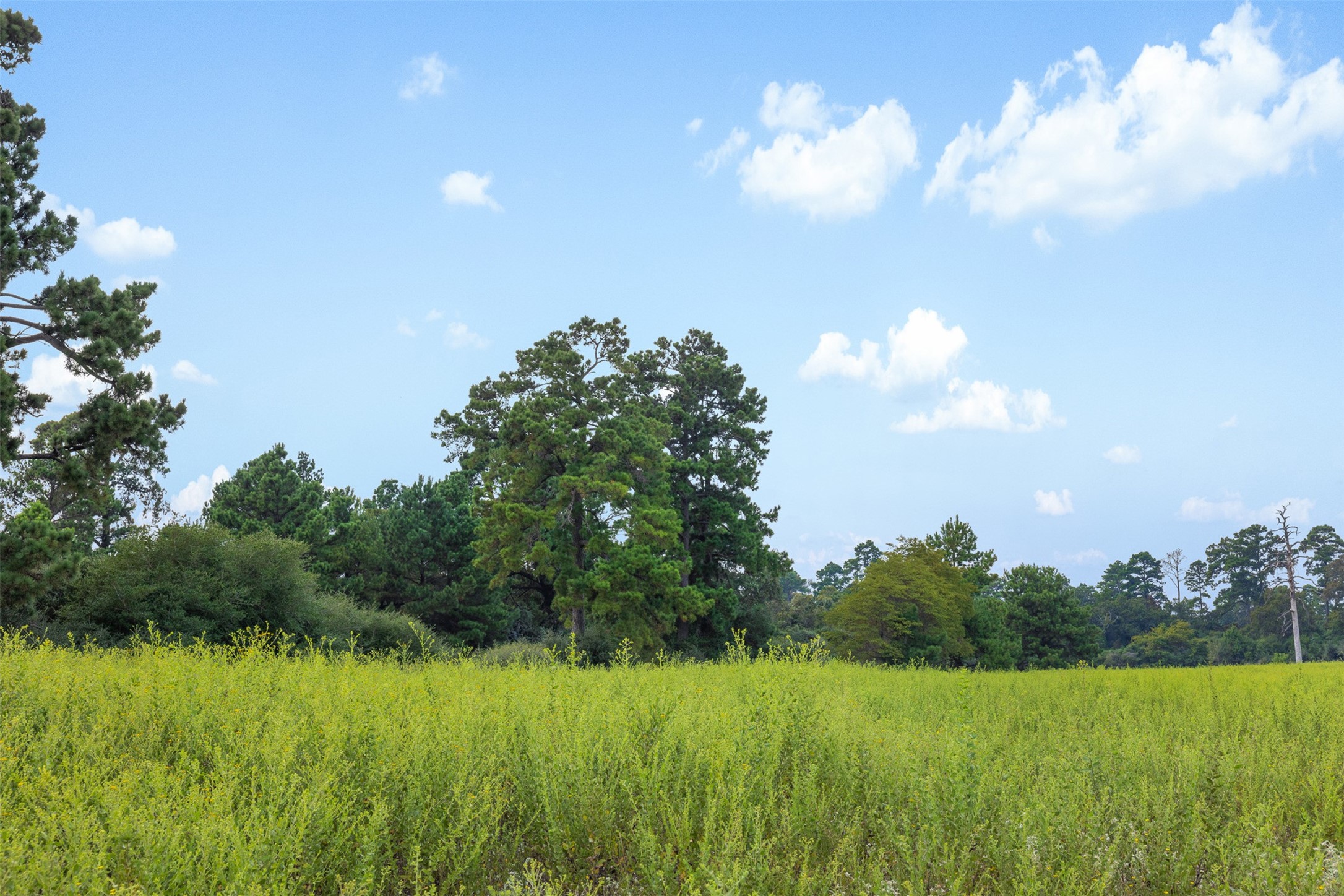 Trail 45 Pr 1315 Centerville TX 75833