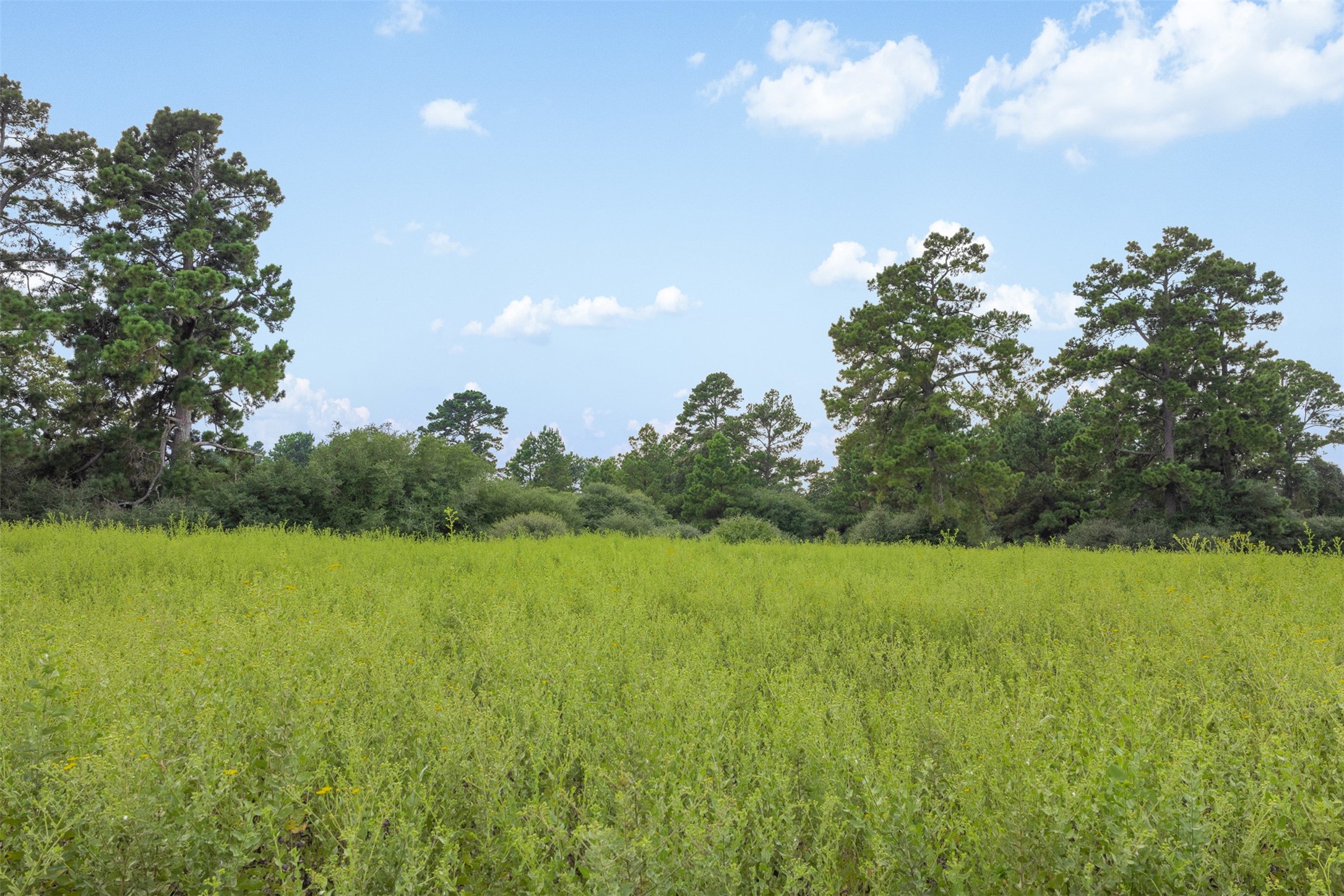 Trail 45 Pr 1315 Centerville TX 75833
