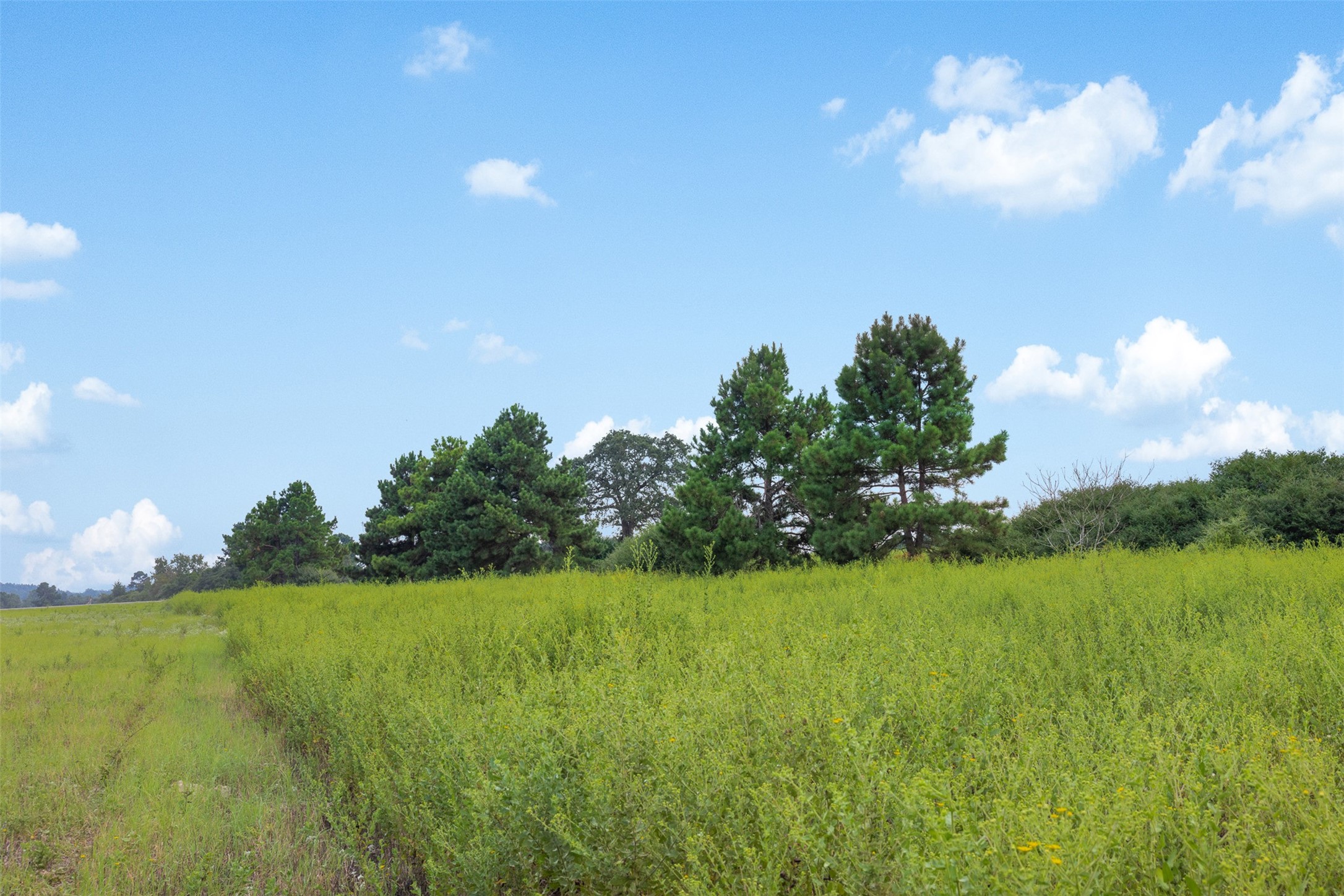 Trail 45 Pr 1315 Centerville TX 75833