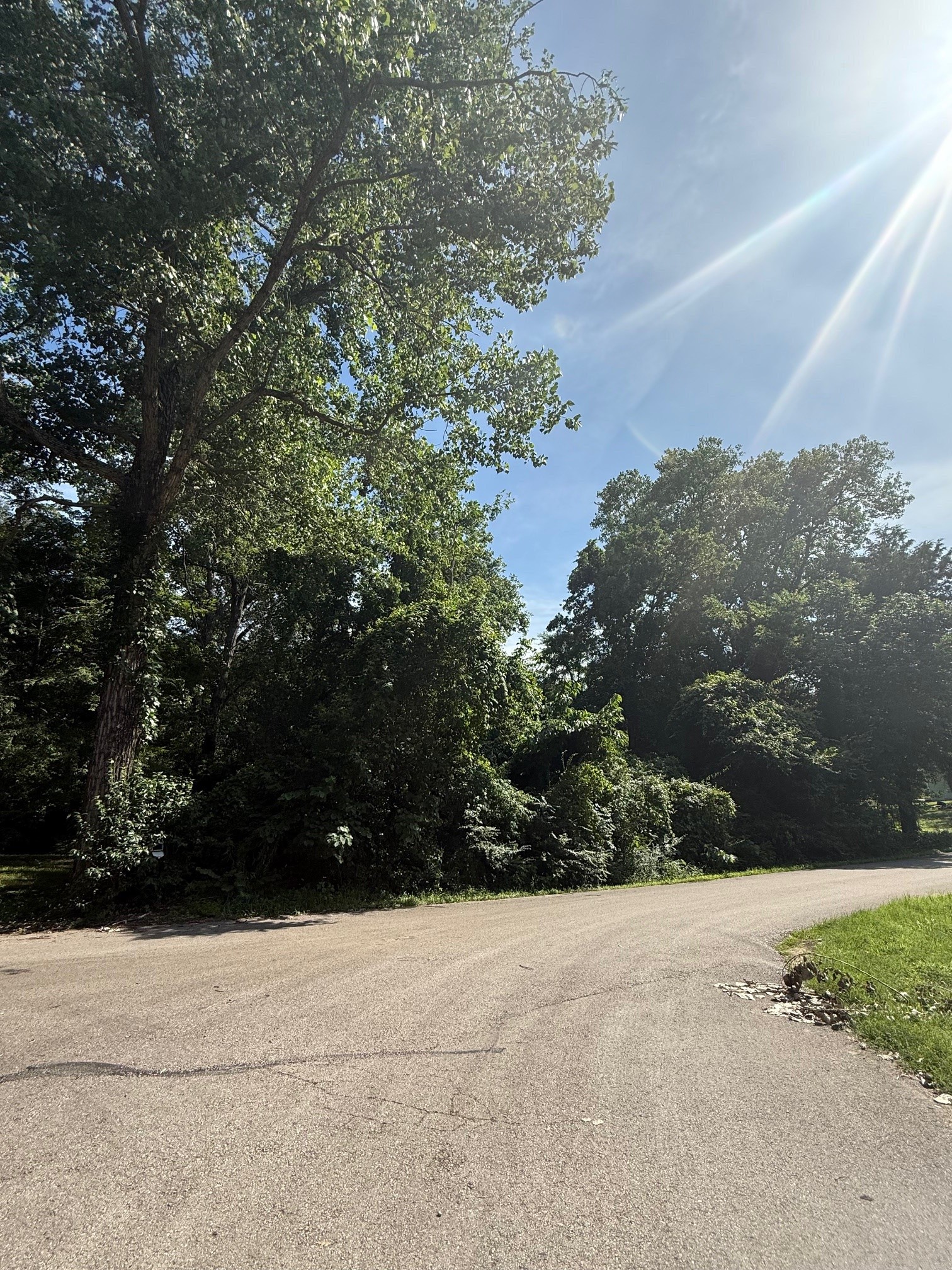 132 Ridgewood Drive Tool TX 75143