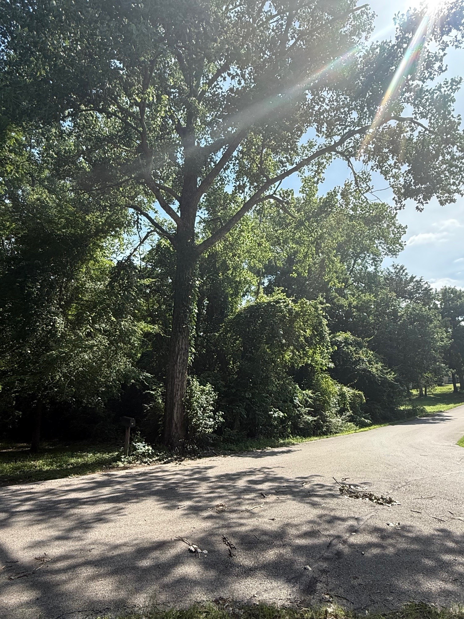 132 Ridgewood Drive Tool TX 75143