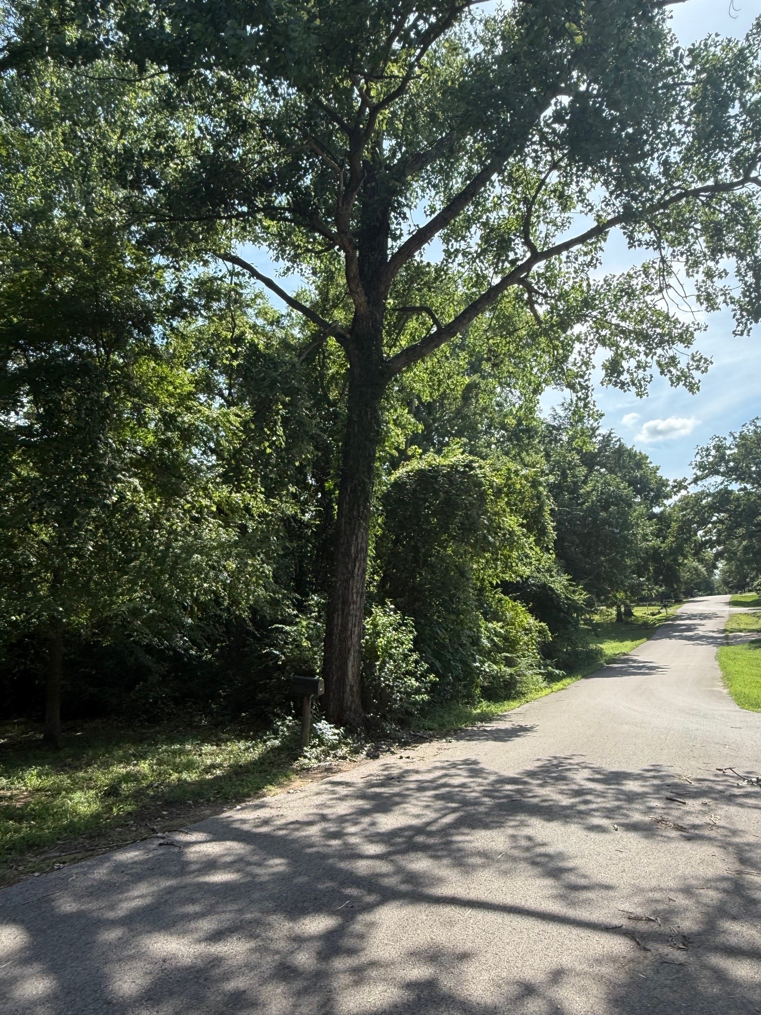 132 Ridgewood Drive Tool TX 75143