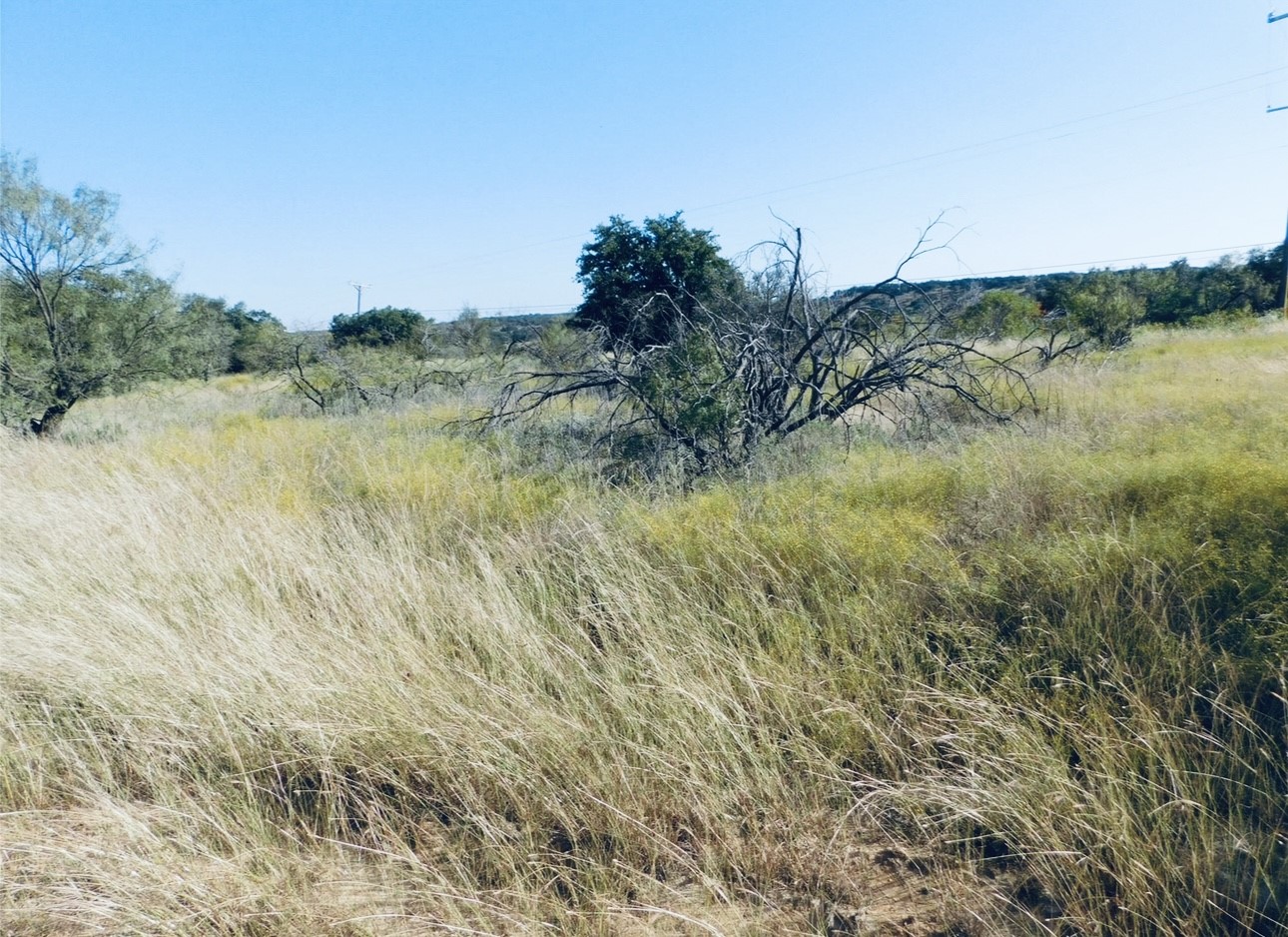 818 & 819 Feather Bay Drive Brownwood TX 76801