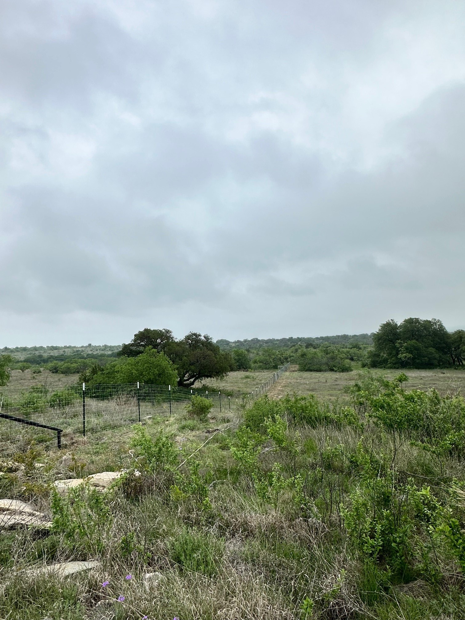 Lot 29 Comanche Hills Drive Comanche TX 76442
