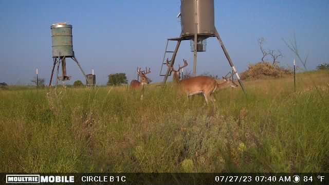 Lot 29 Comanche Hills Drive Comanche TX 76442