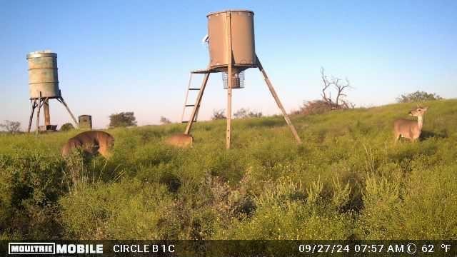 Lot 29 Comanche Hills Drive Comanche TX 76442
