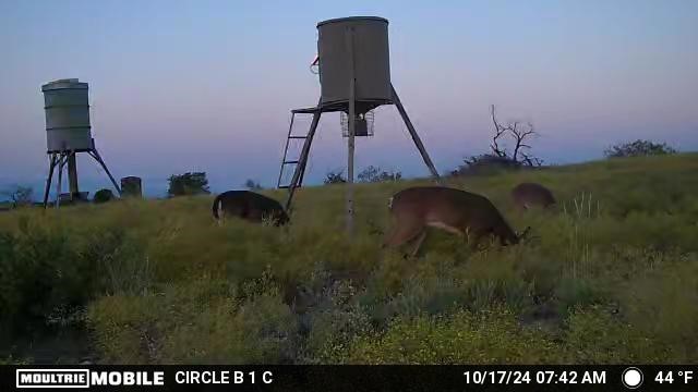 Lot 29 Comanche Hills Drive Comanche TX 76442
