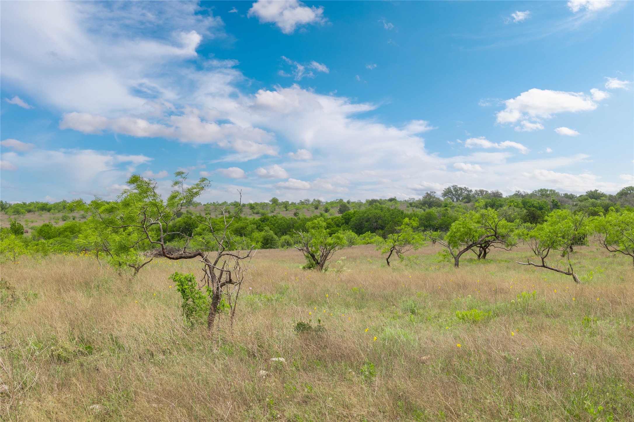 Lot 29 Comanche Hills Drive Comanche TX 76442