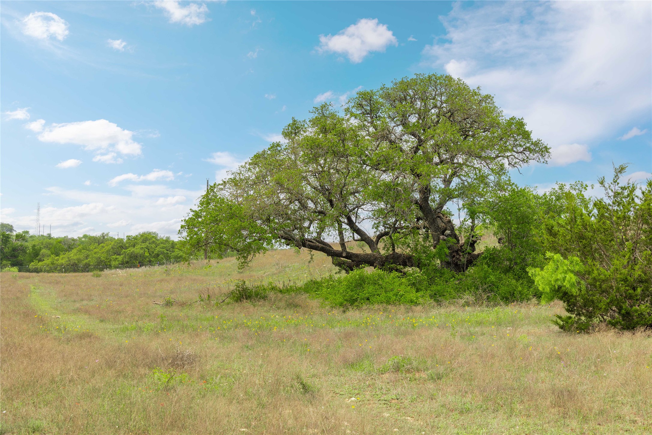 Lot 29 Comanche Hills Drive Comanche TX 76442