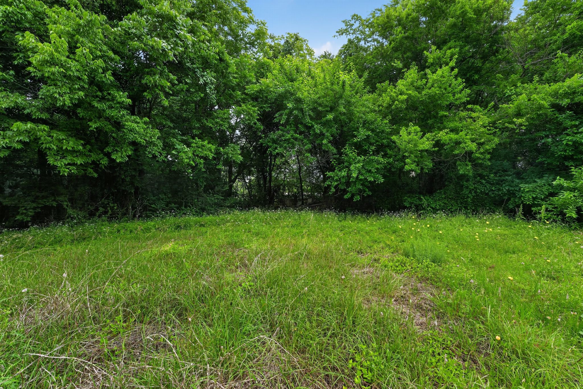 4002 Curry Road Arlington TX 76001