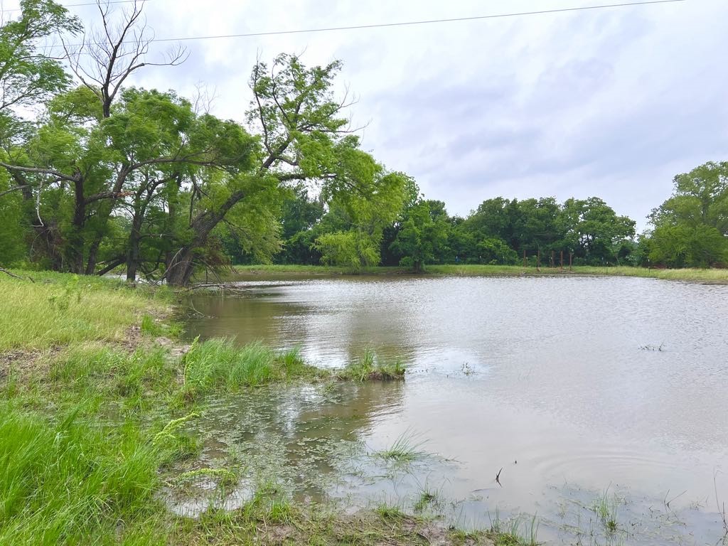 1179 County Road 1990 Chico TX 76431