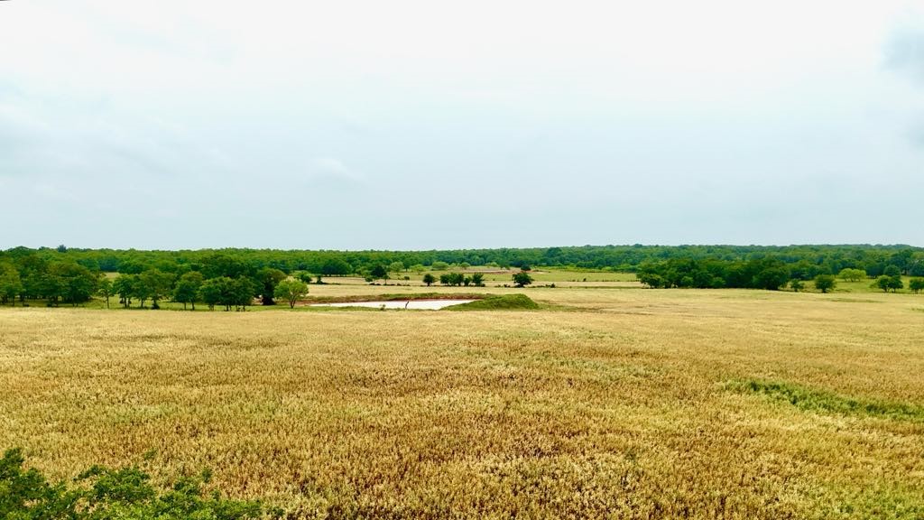 1179 County Road 1990 Chico TX 76431
