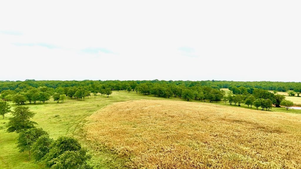 1179 County Road 1990 Chico TX 76431