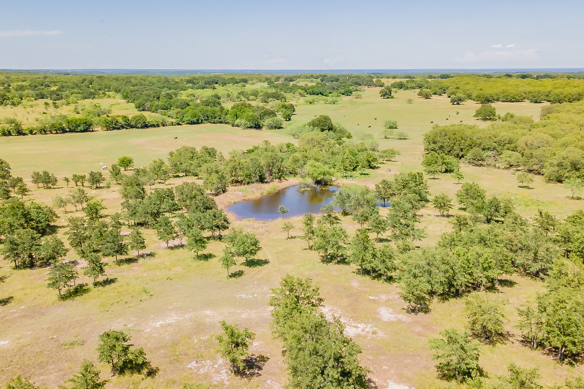 1179 County Road 1990 Chico TX 76431