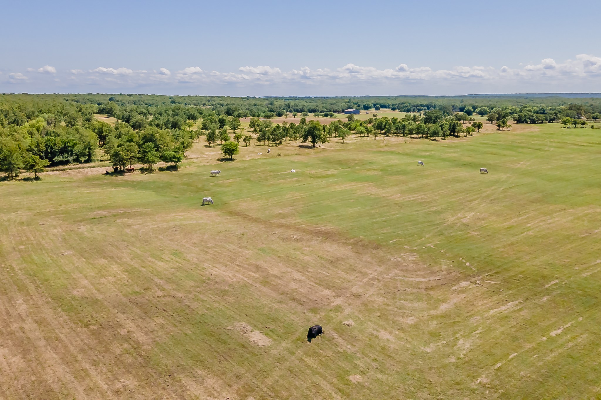 1179 County Road 1990 Chico TX 76431