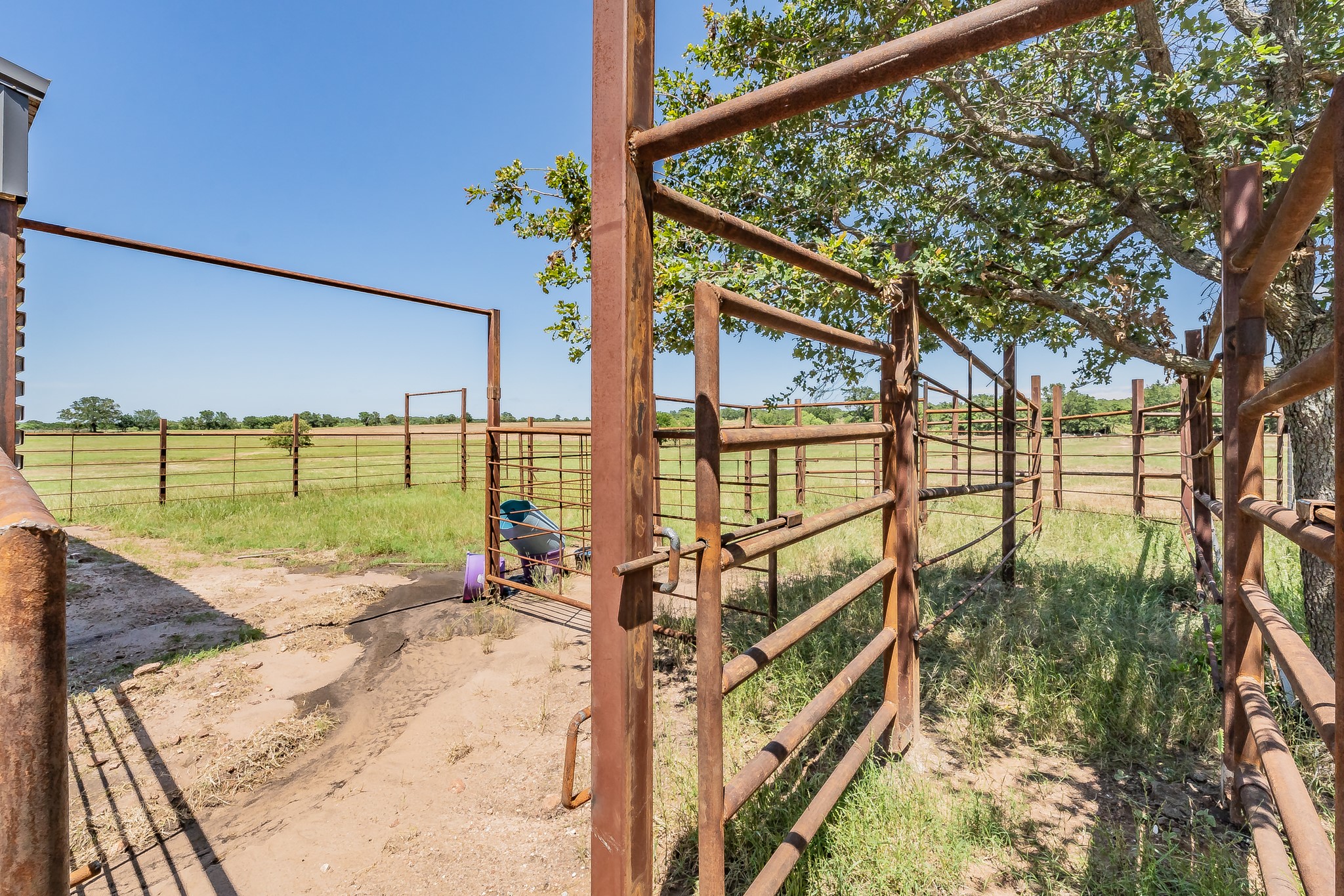1179 County Road 1990 Chico TX 76431