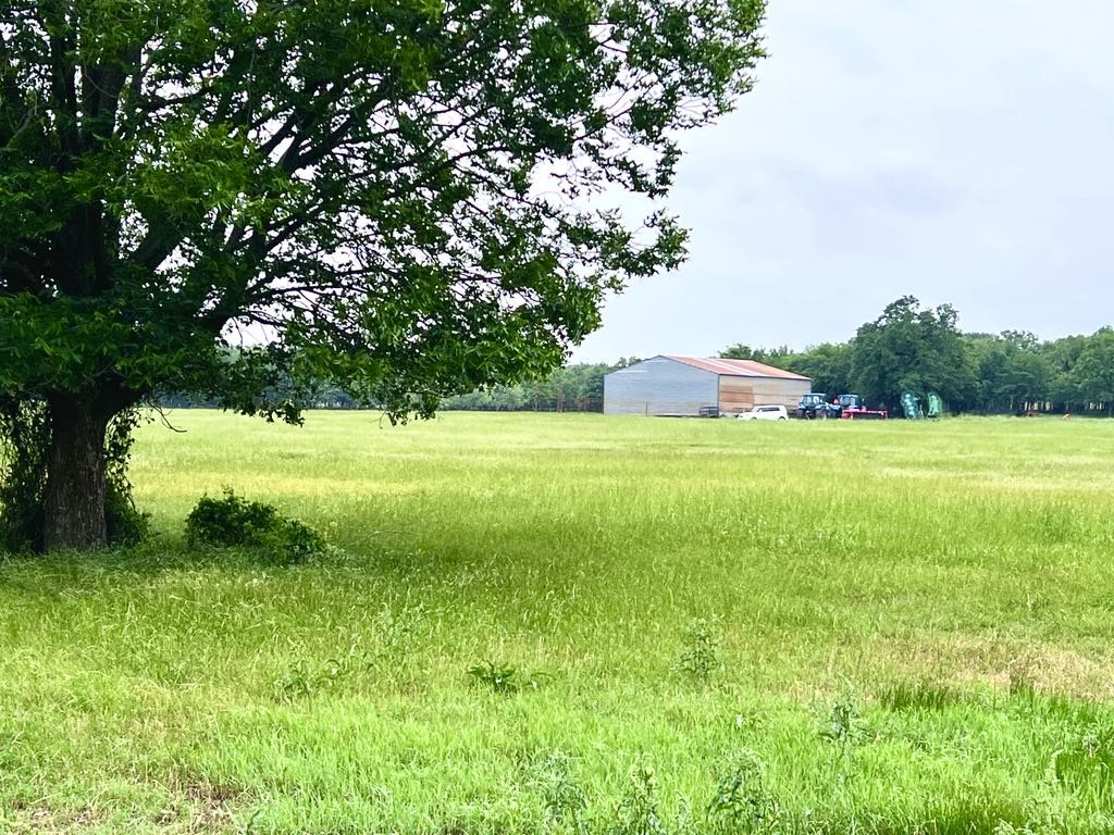 1179 County Road 1990 Chico TX 76431