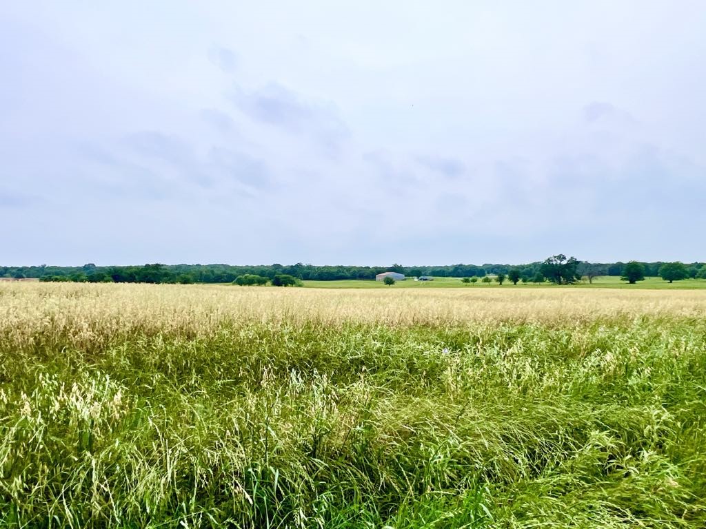 1179 County Road 1990 Chico TX 76431