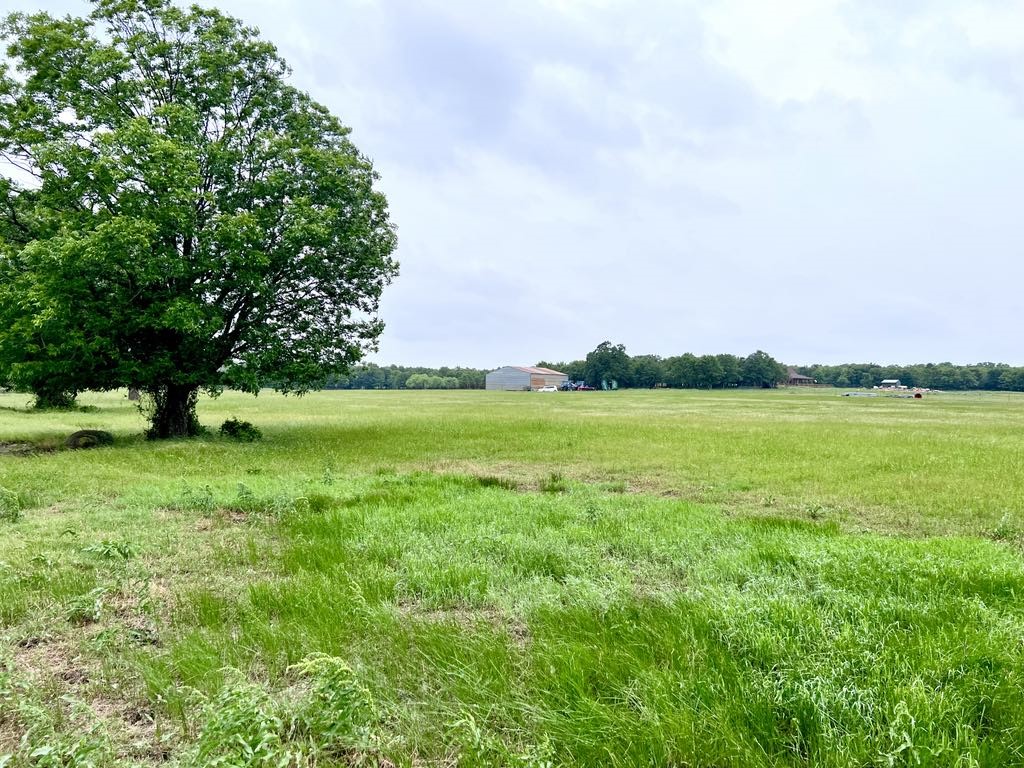 1179 County Road 1990 Chico TX 76431