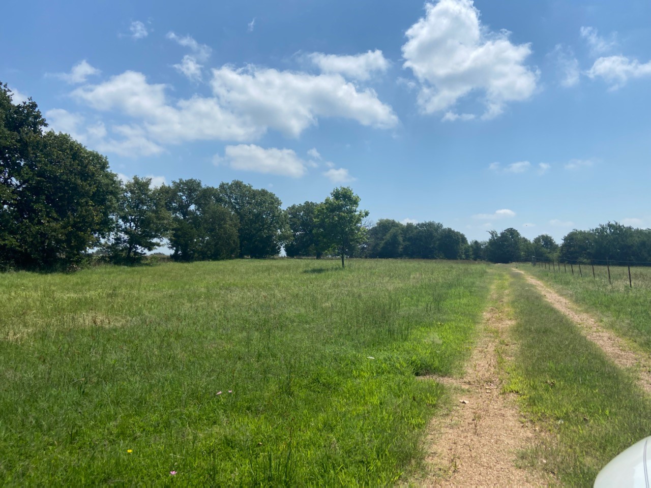 3652 E Cheadle Tishomingo OK 73460