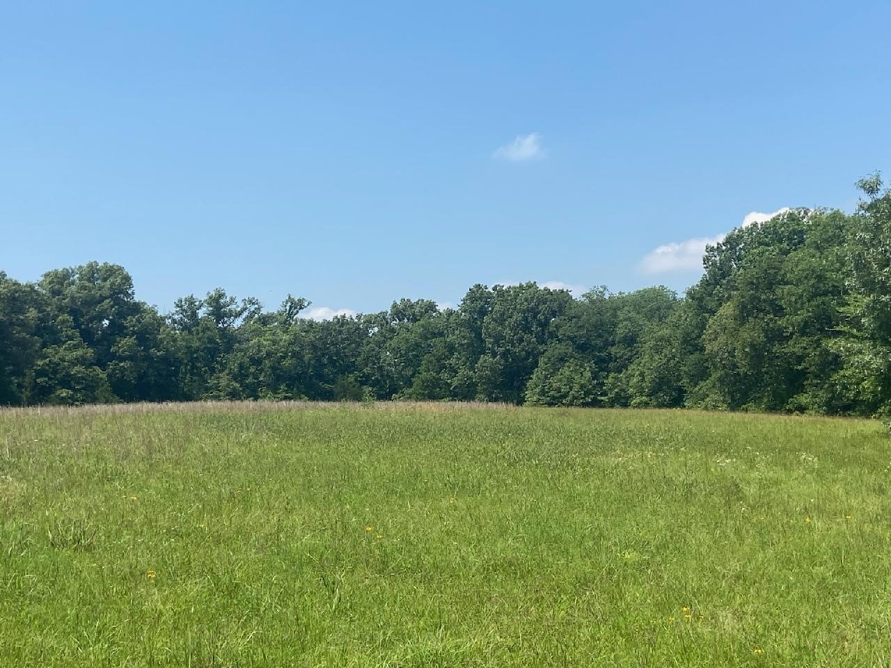 3652 E Cheadle Tishomingo OK 73460