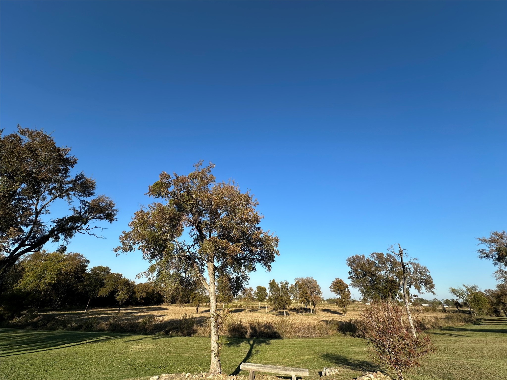 7546 W Highway 164 Mart TX 76664