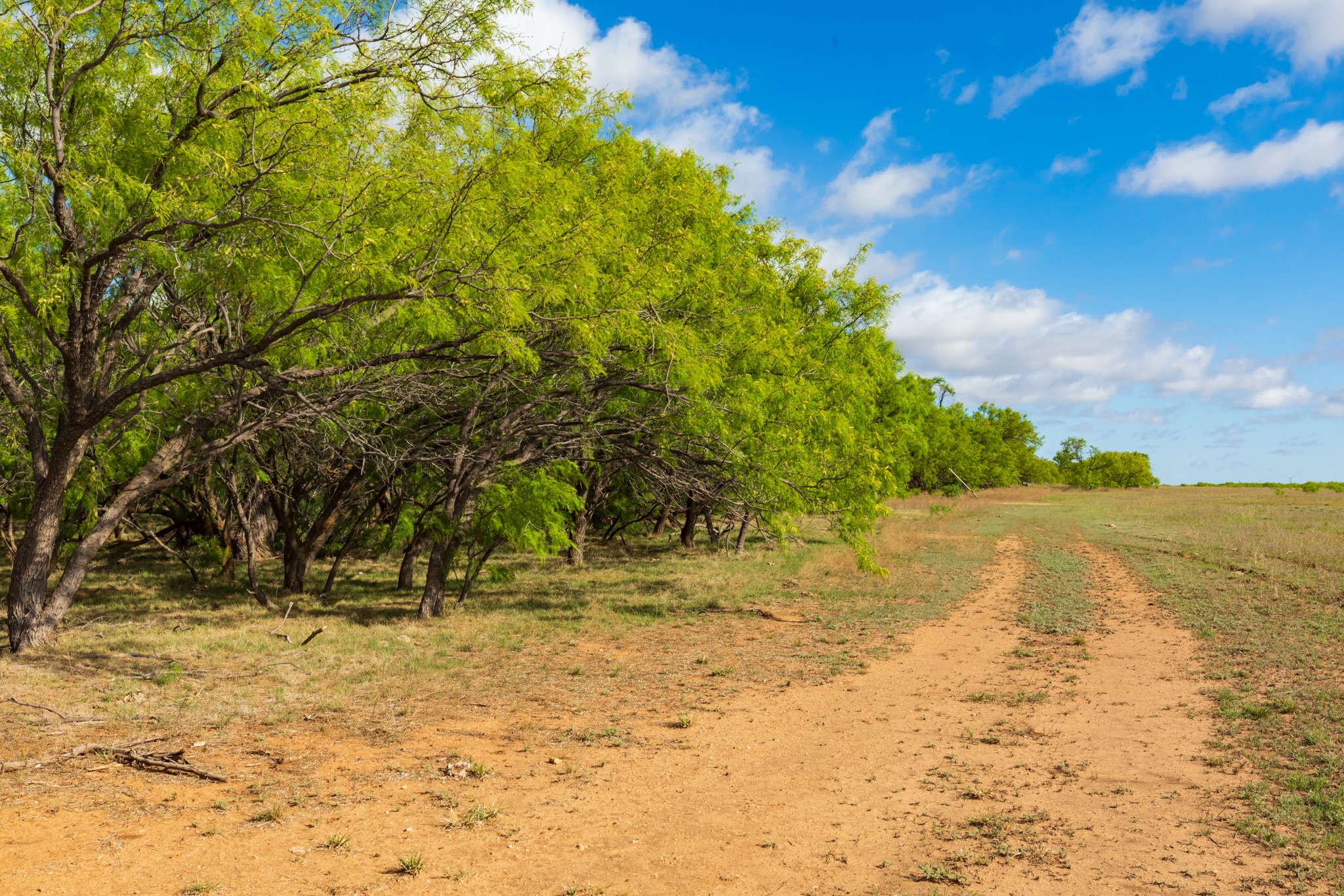 600 Fm 600 Haskell TX 79553