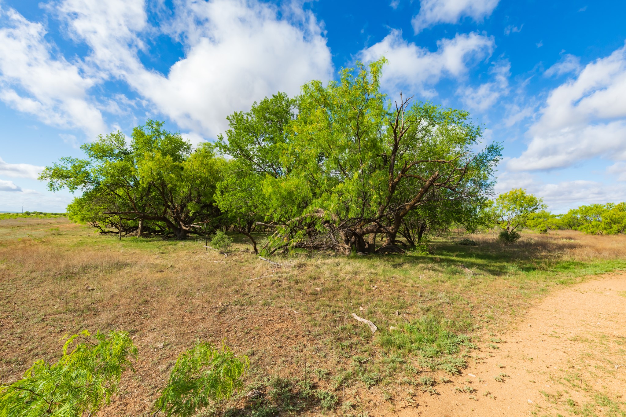 600 Fm 600 Haskell TX 79553