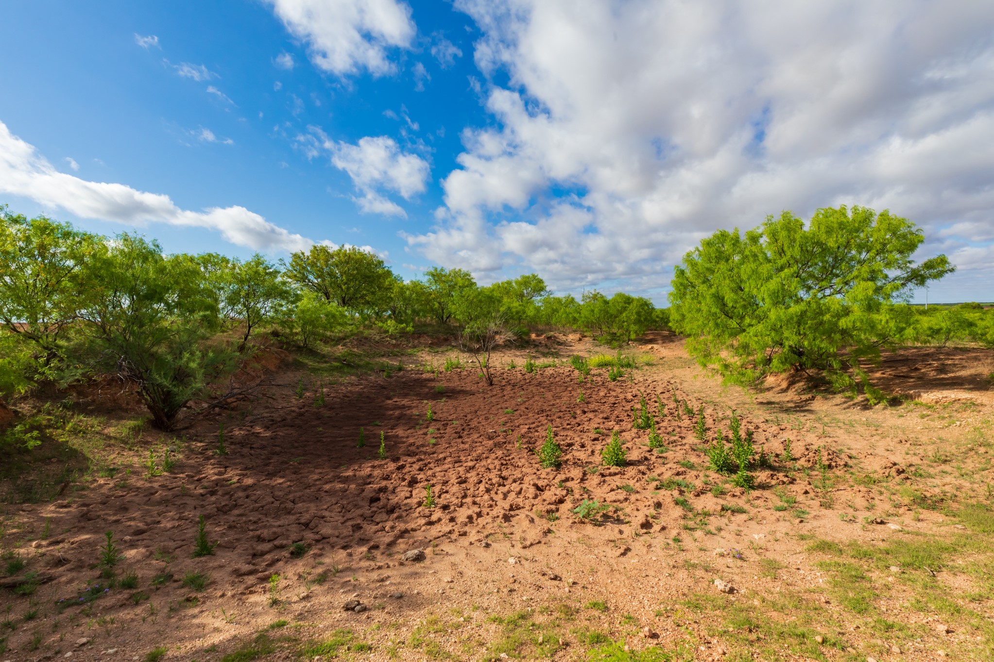 600 Fm 600 Haskell TX 79553