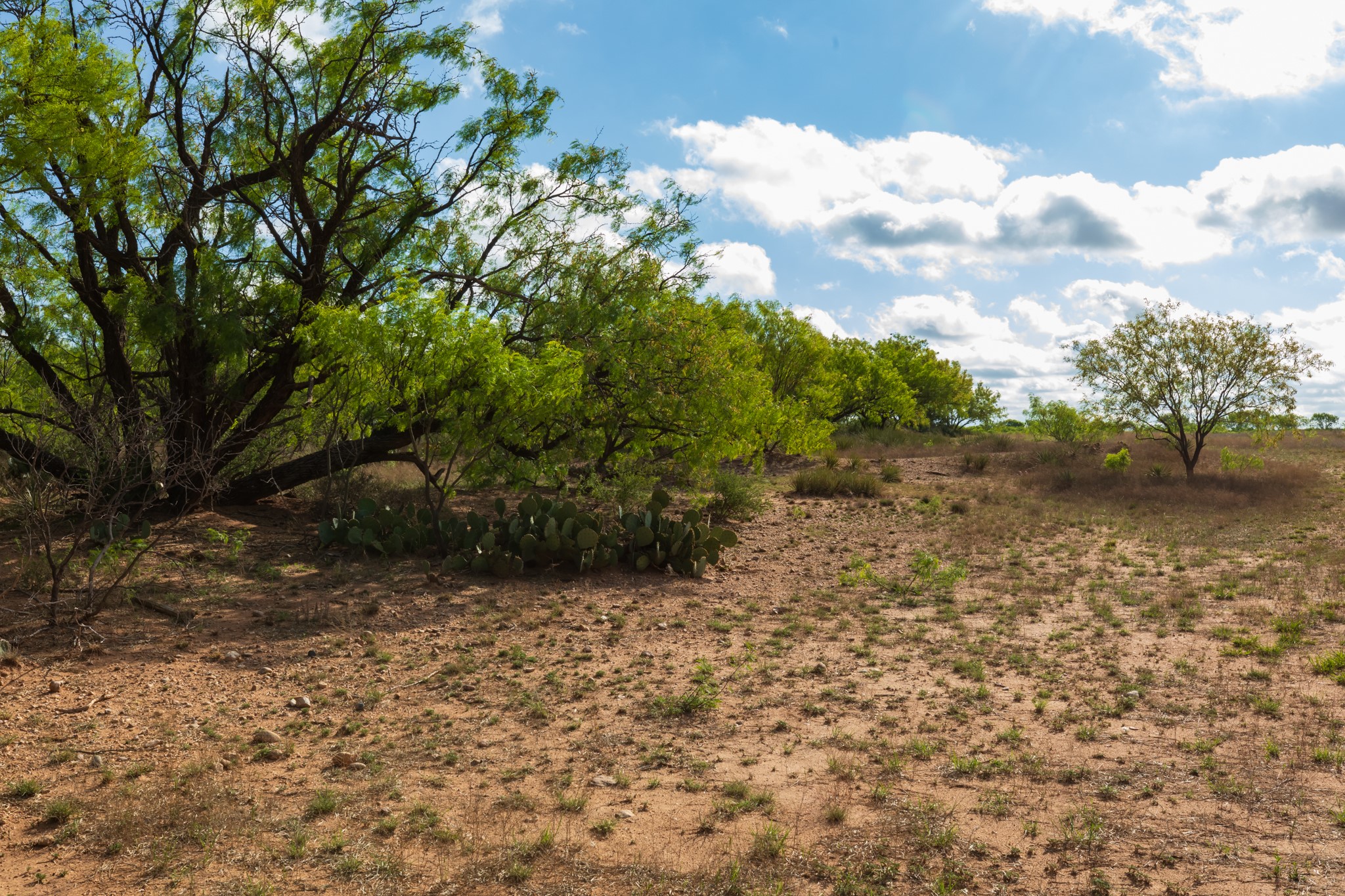 600 Fm 600 Haskell TX 79553