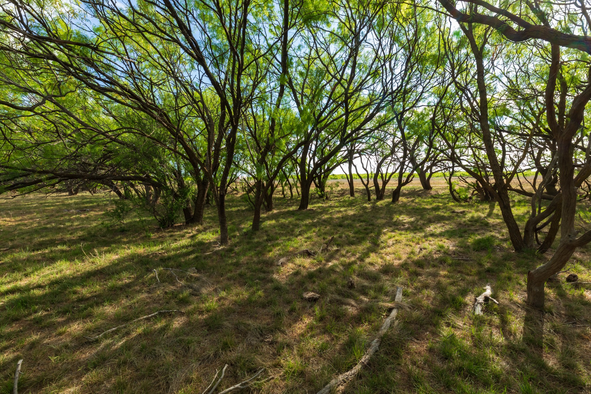 600 Fm 600 Haskell TX 79553