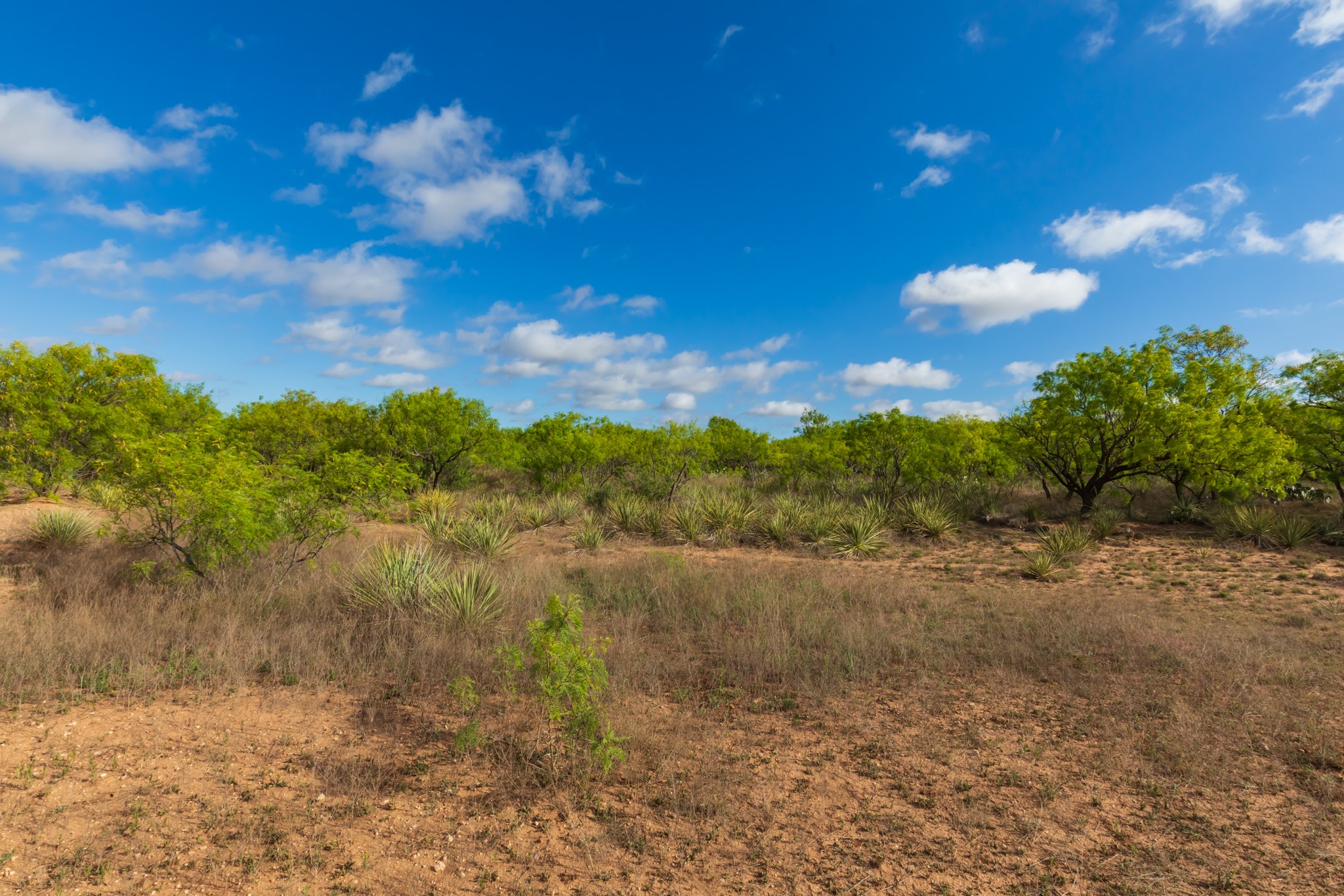 600 Fm 600 Haskell TX 79553