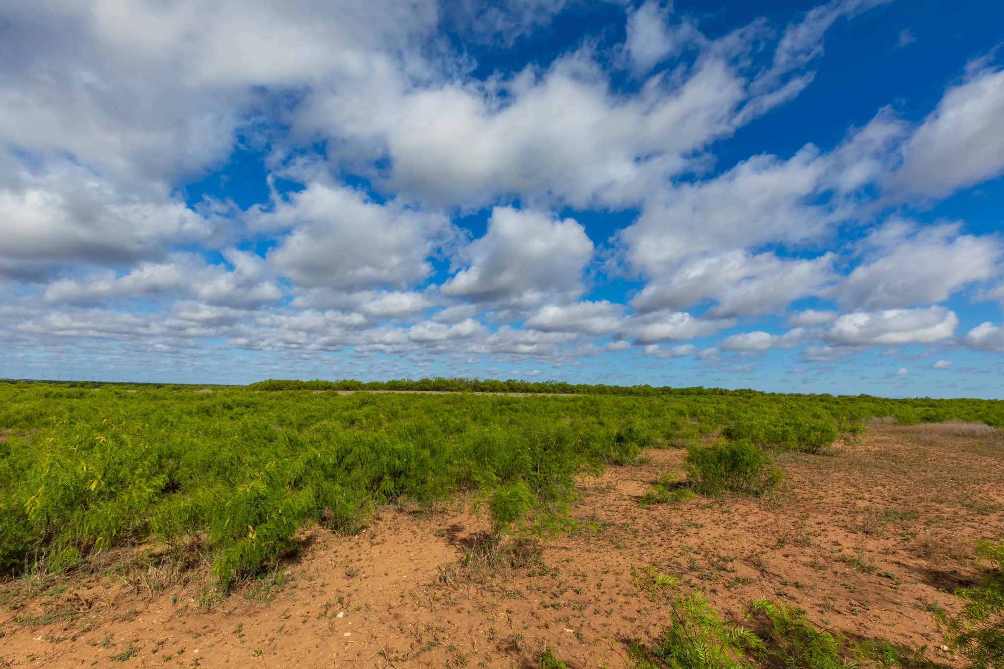 600 Fm 600 Haskell TX 79553