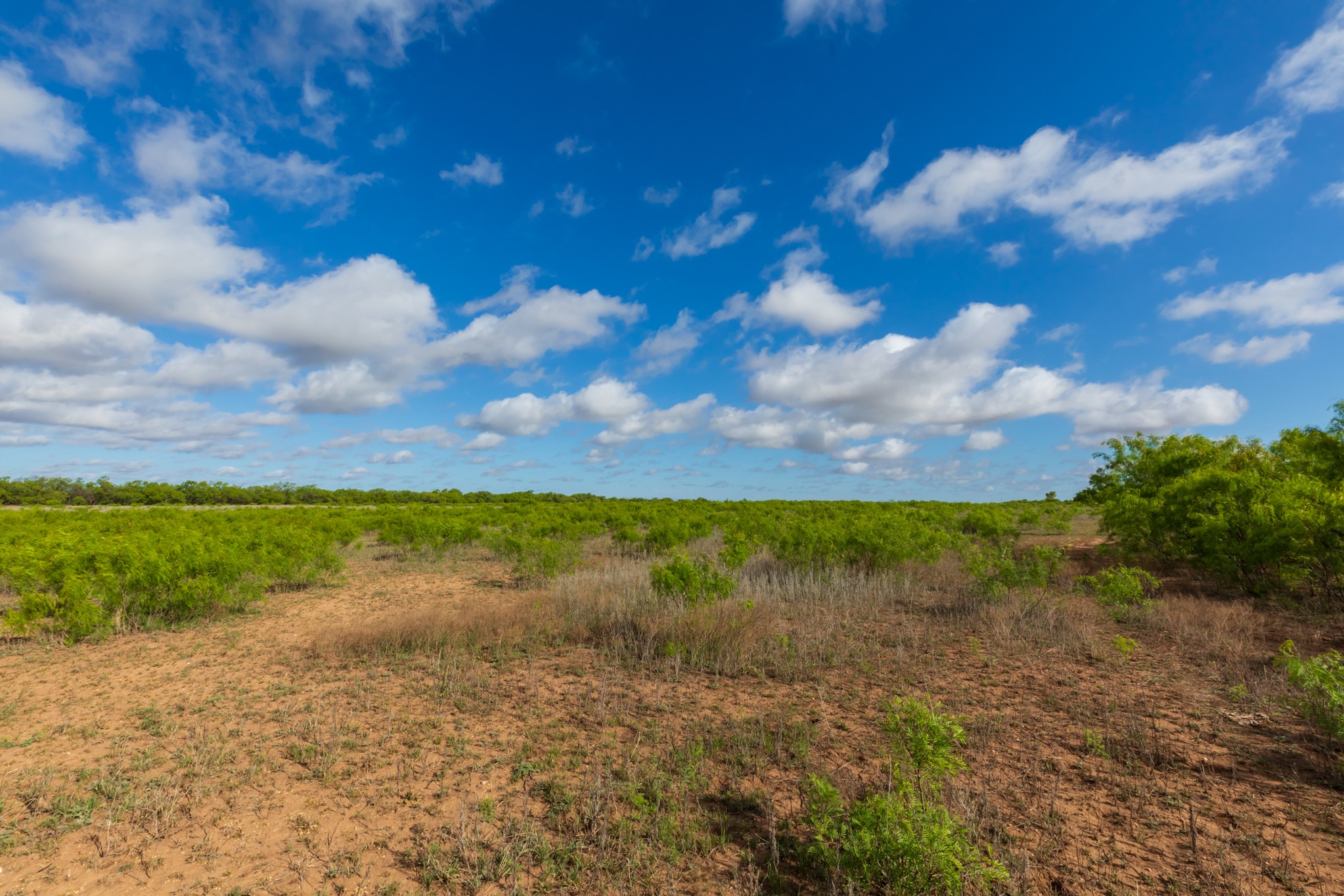 600 Fm 600 Haskell TX 79553