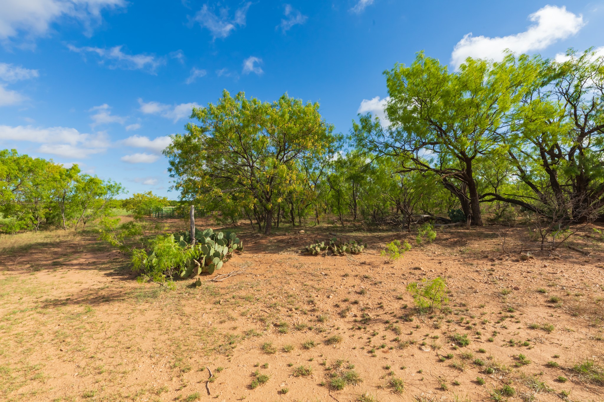 600 Fm 600 Haskell TX 79553