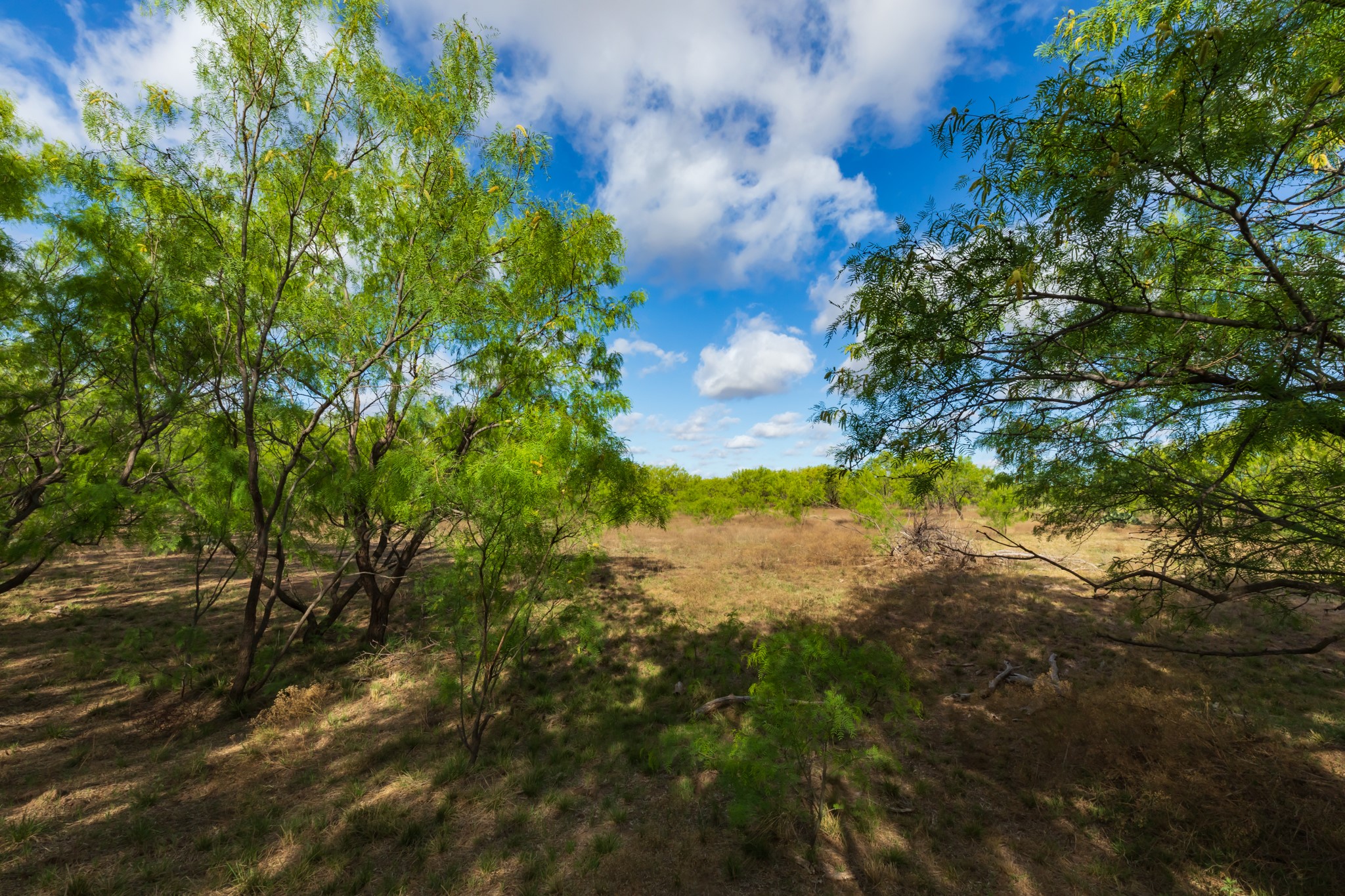 600 Fm 600 Haskell TX 79553