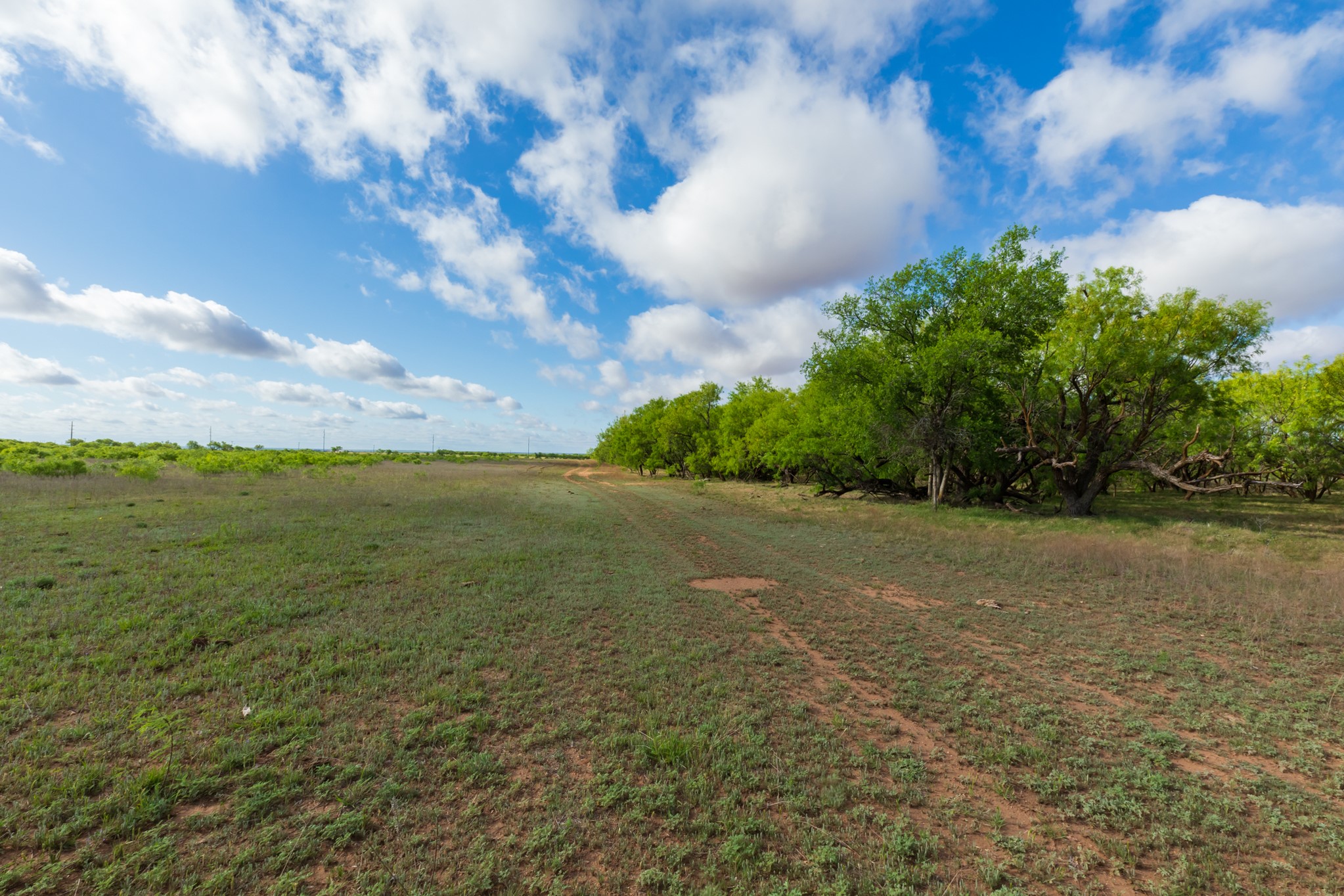 600 Fm 600 Haskell TX 79553
