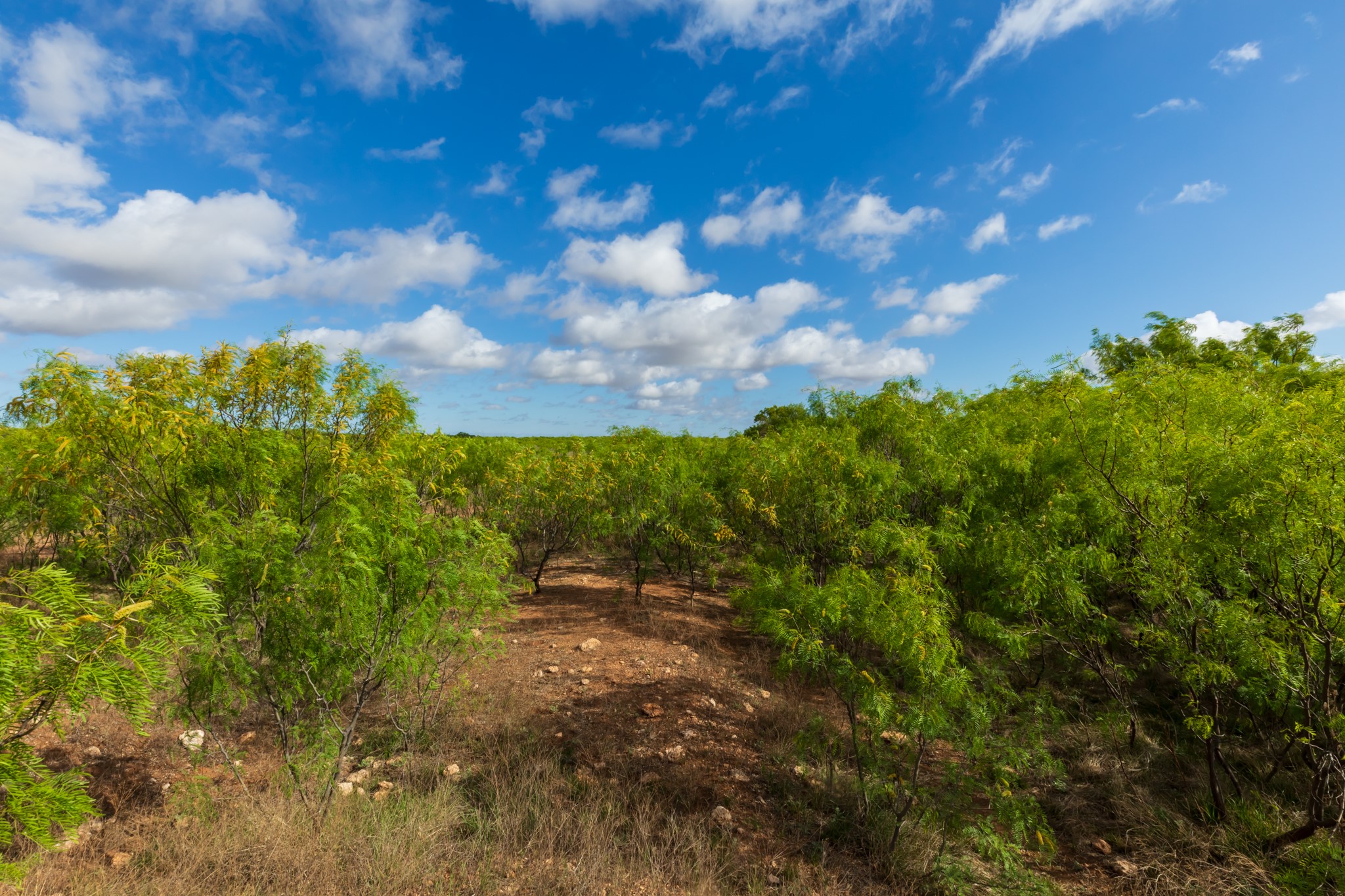 600 Fm 600 Haskell TX 79553