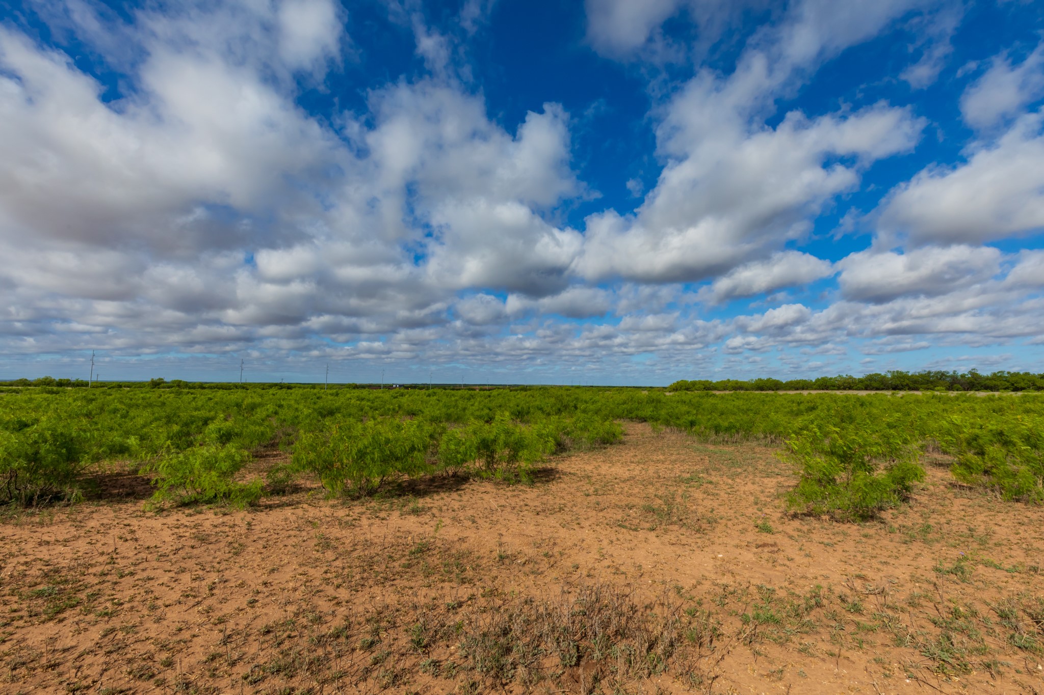 600 Fm 600 Haskell TX 79553