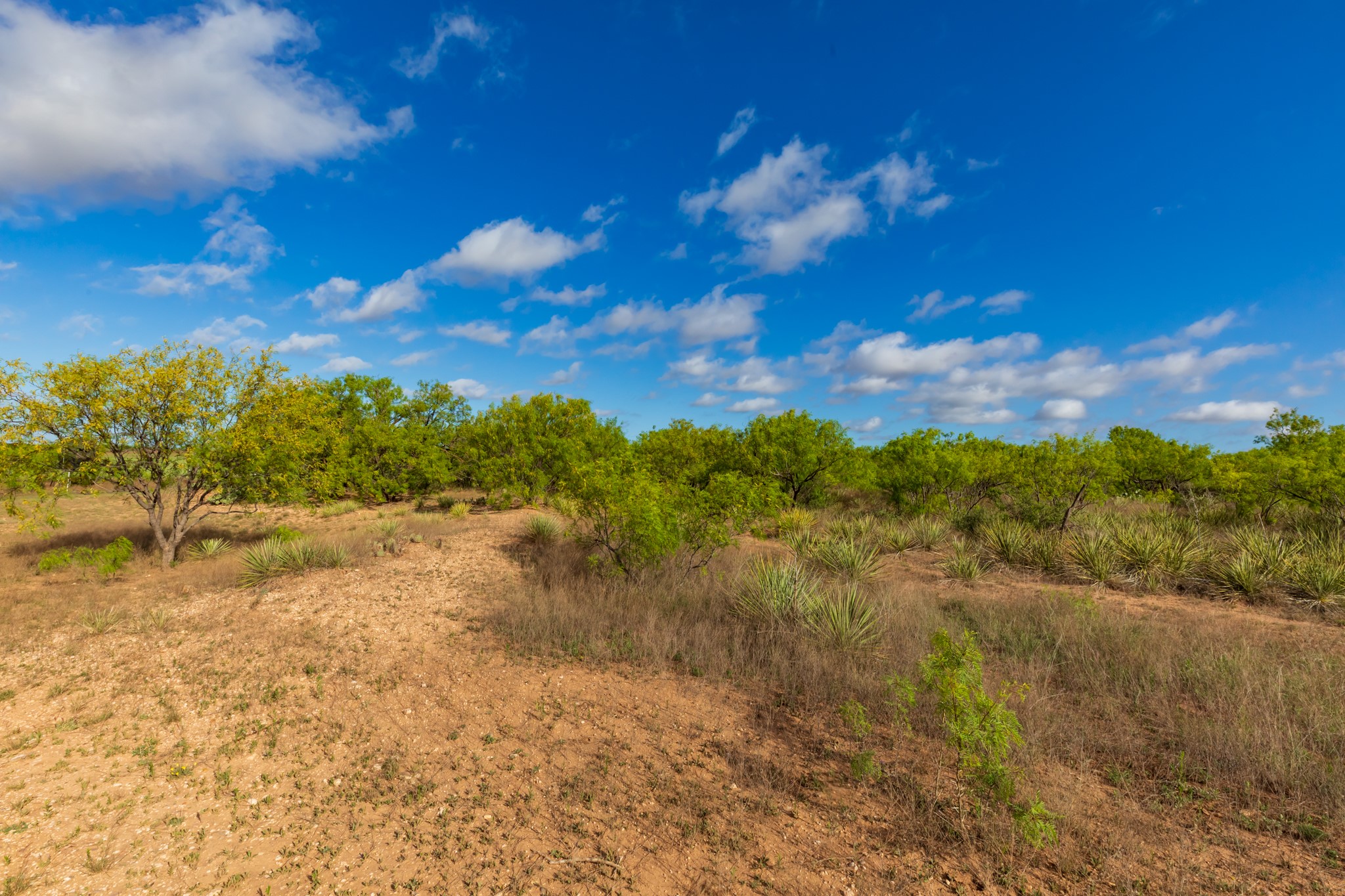 600 Fm 600 Haskell TX 79553