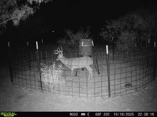 600 Fm 600 Haskell TX 79553