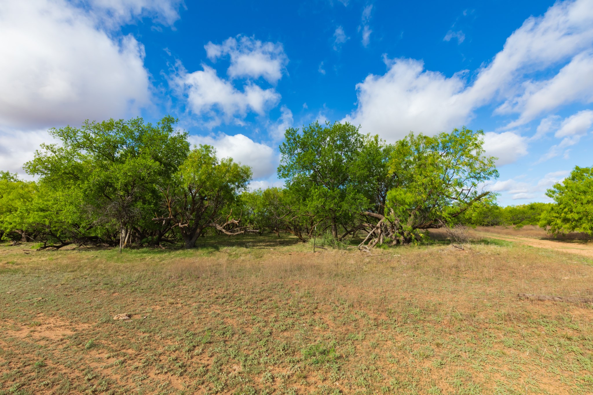 600 Fm 600 Haskell TX 79553