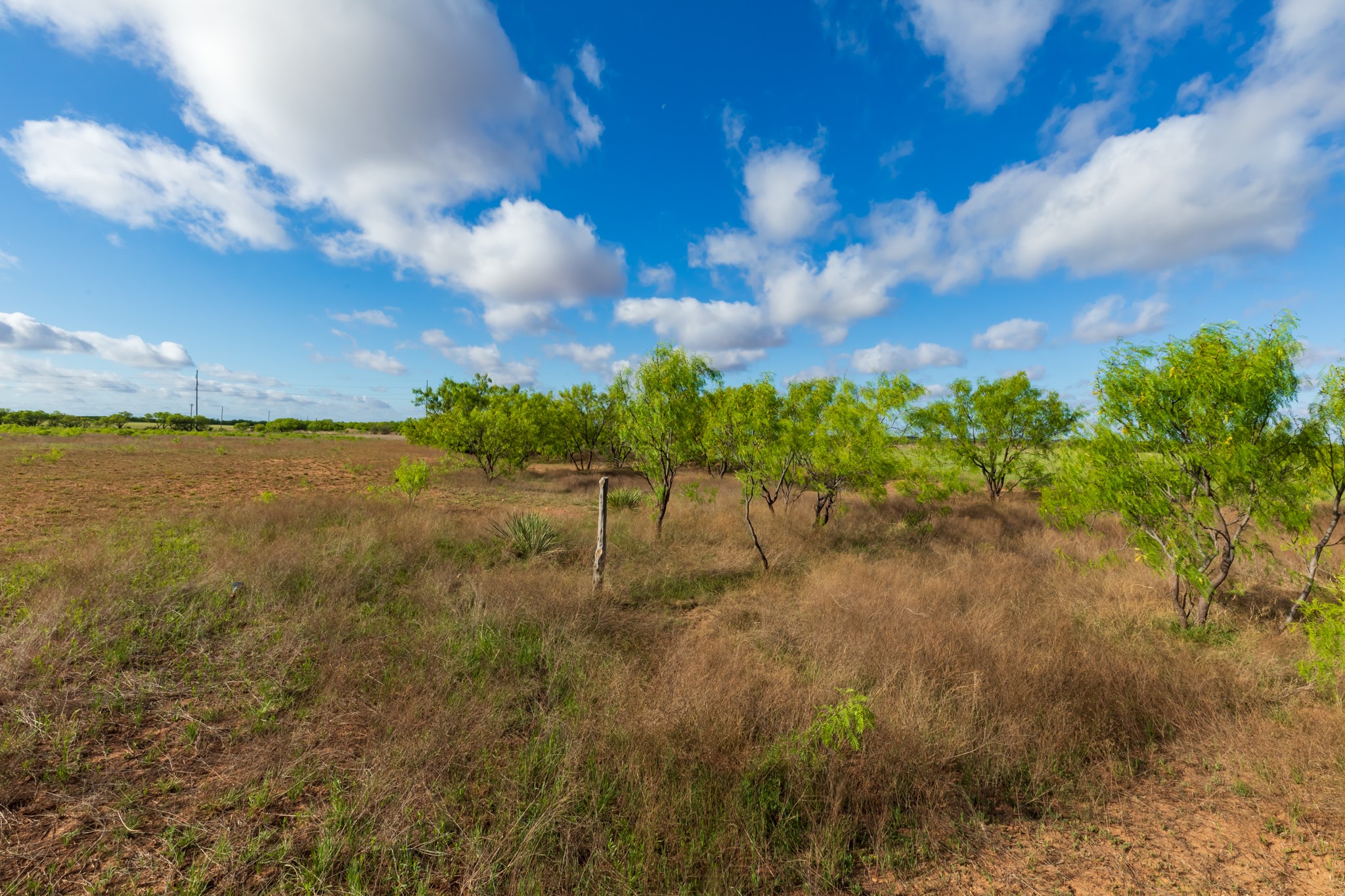 600 Fm 600 Haskell TX 79553