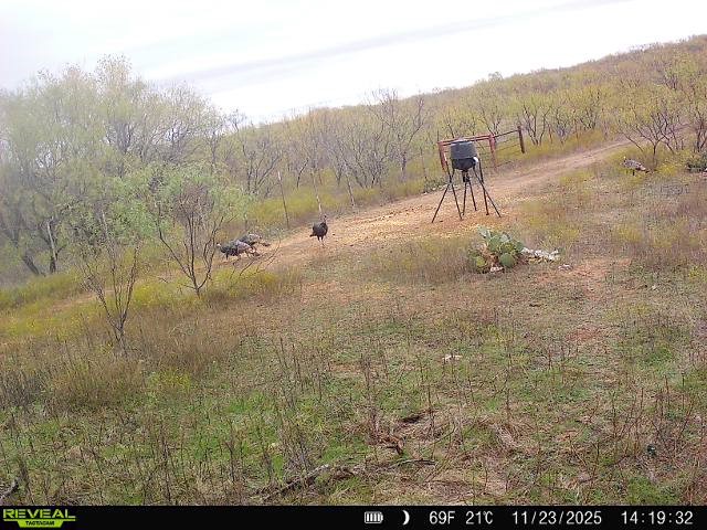 600 Fm 600 Haskell TX 79553