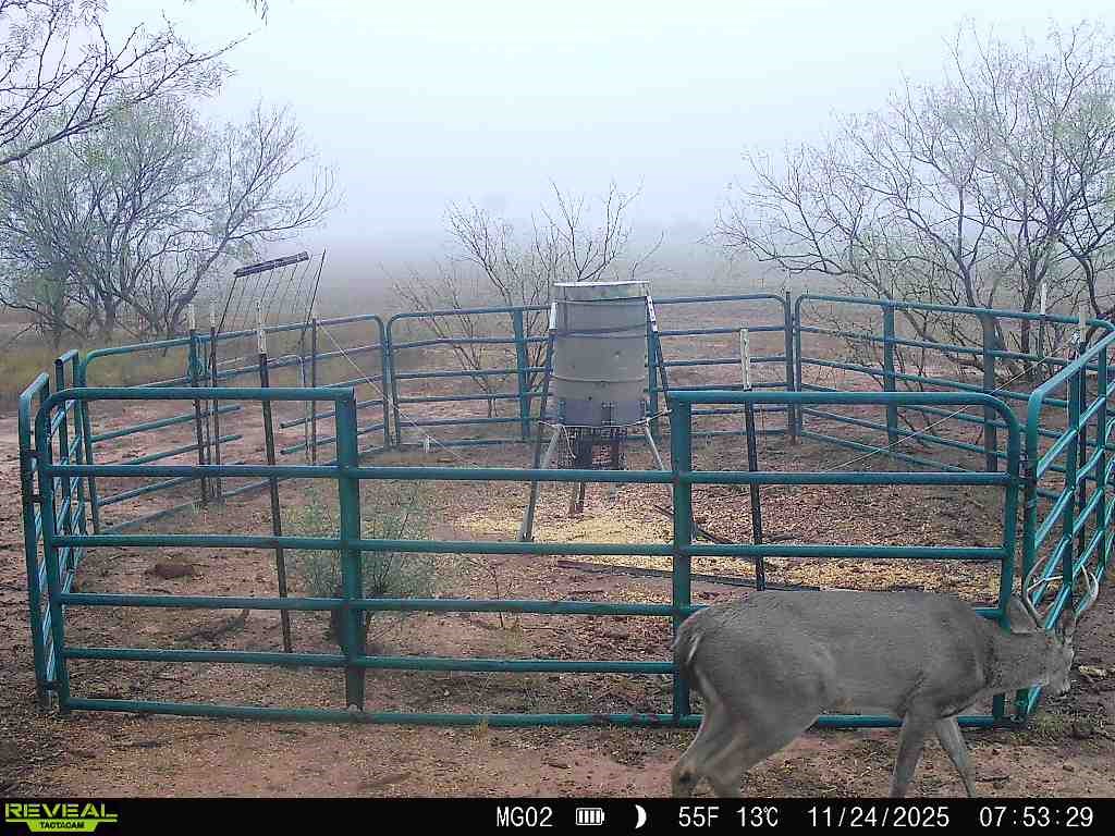 600 Fm 600 Haskell TX 79553