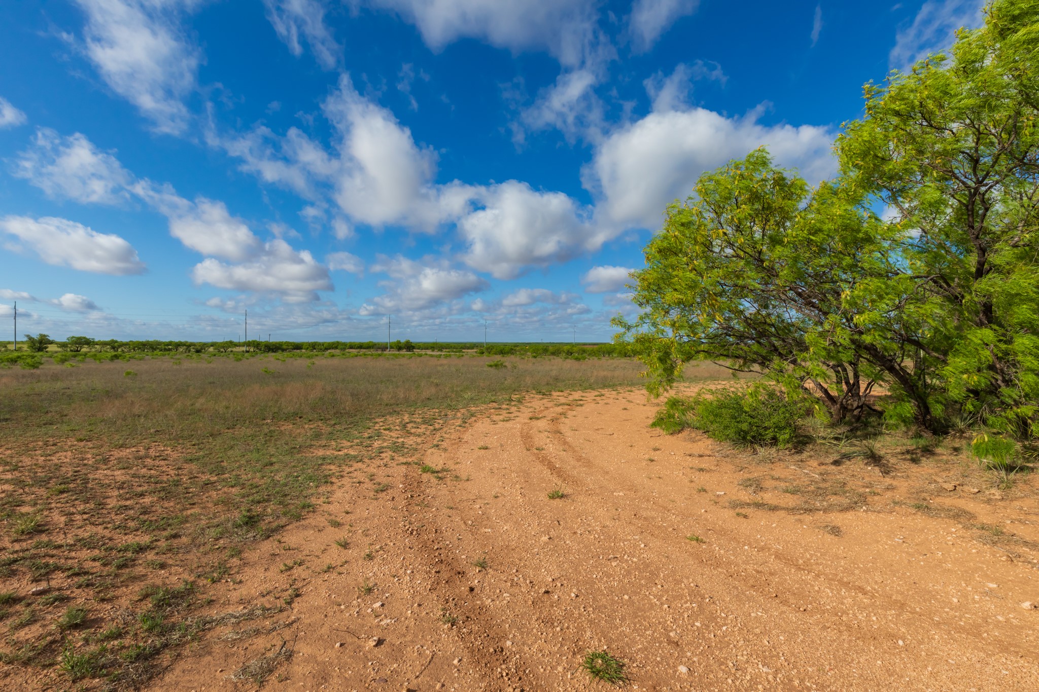 600 Fm 600 Haskell TX 79553
