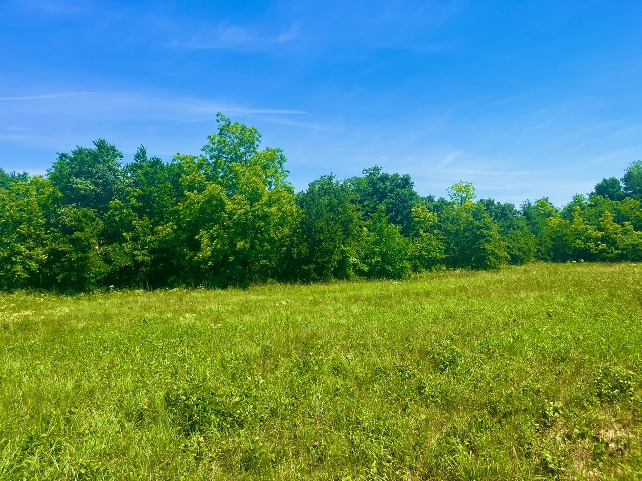 Lot 103 Arlow Road Poolville TX 76487