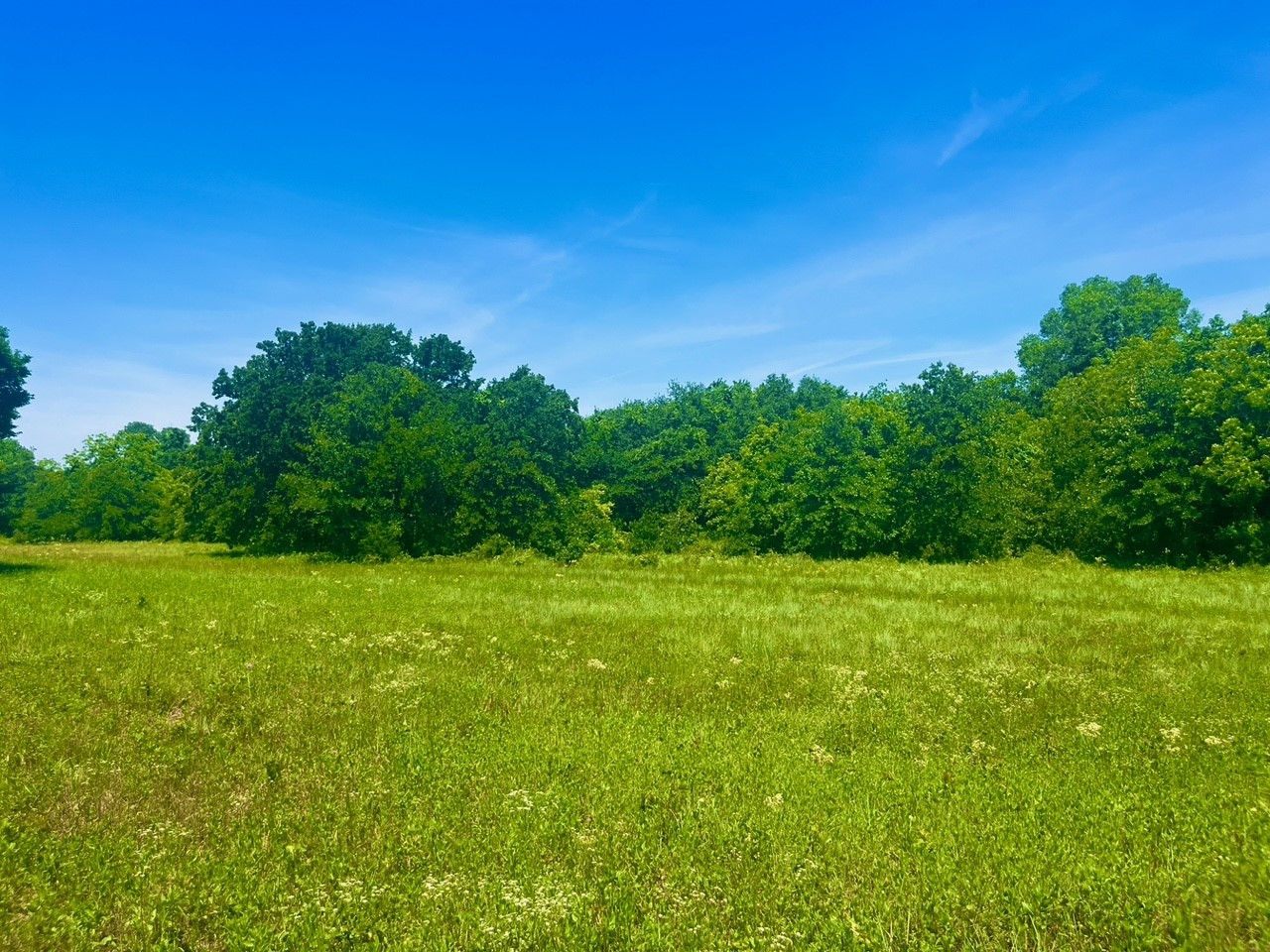 Lot 103 Arlow Road Poolville TX 76487