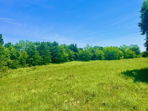 Lot 103 Arlow Road Poolville TX 76487