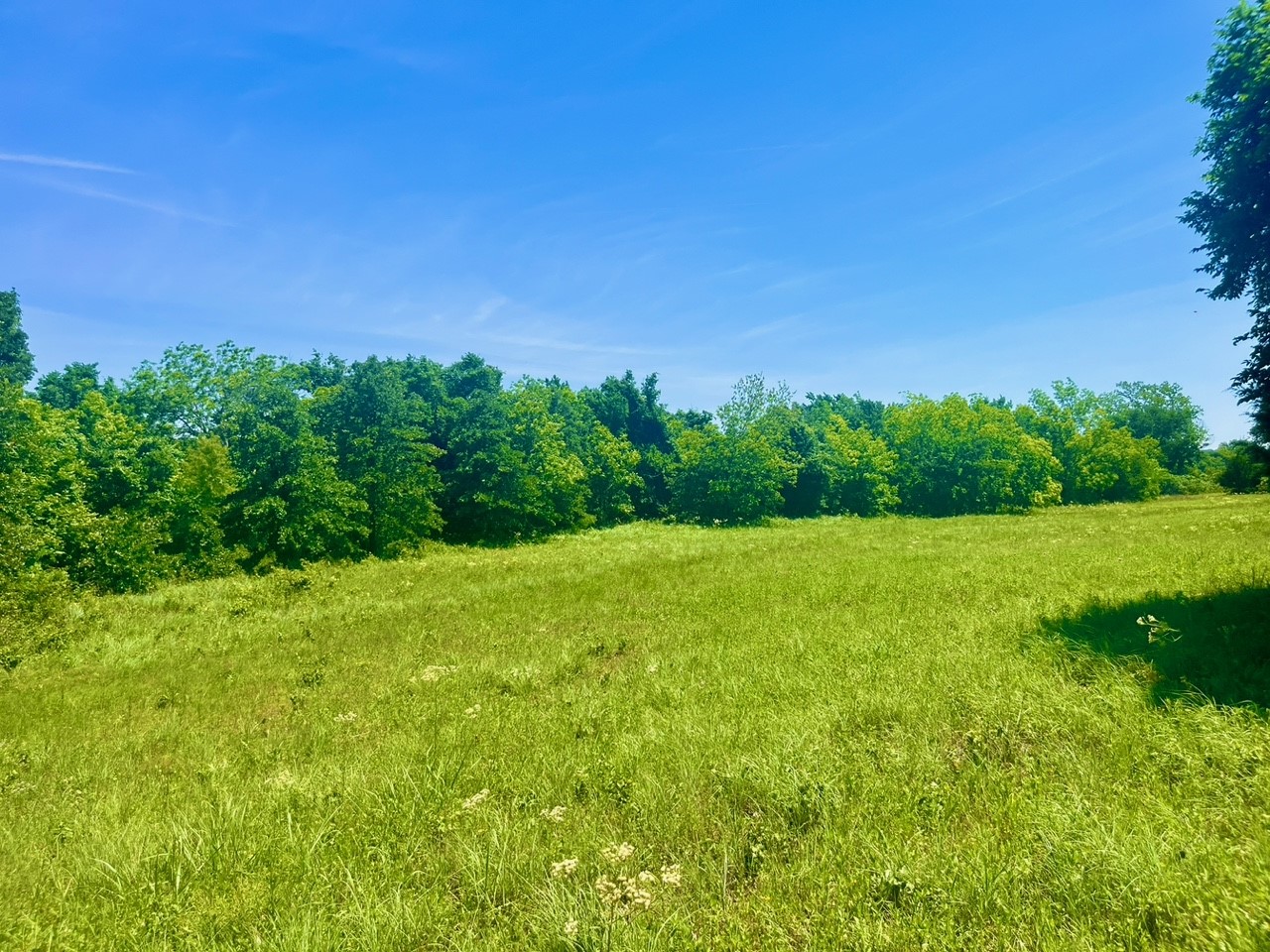 Lot 103 Arlow Road Poolville TX 76487